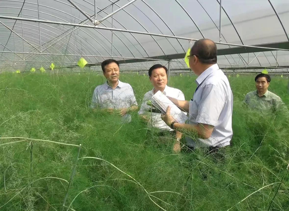 房地产相关消息怎么写,房地产相关消息