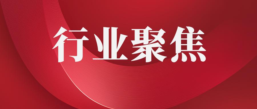 解析房产资讯公司：它们的作用与服务内容